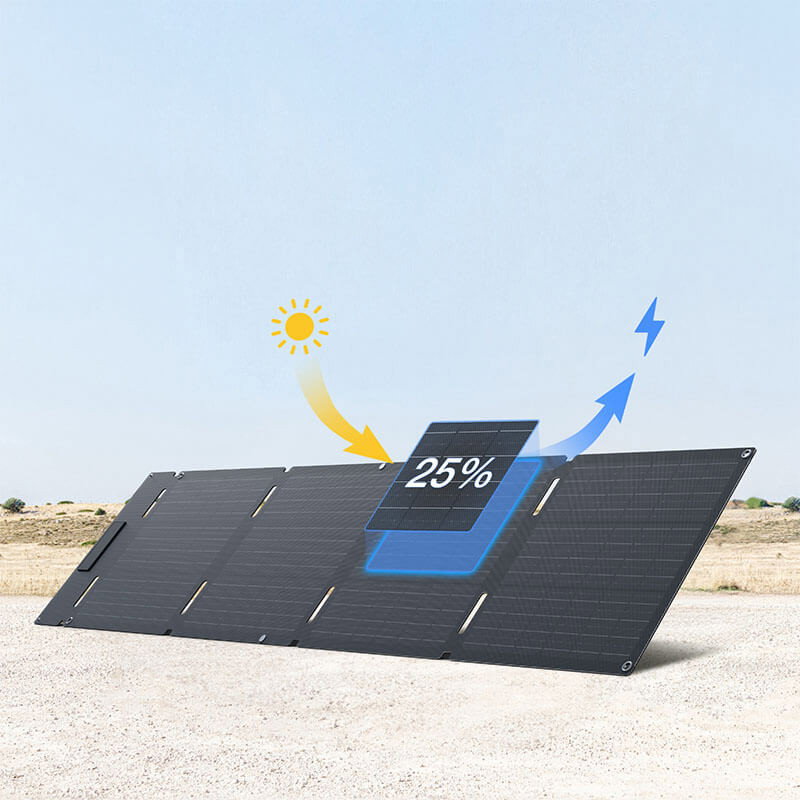 Panou solar Ecoflow 60W, portabil, USB-C, Negru [7]