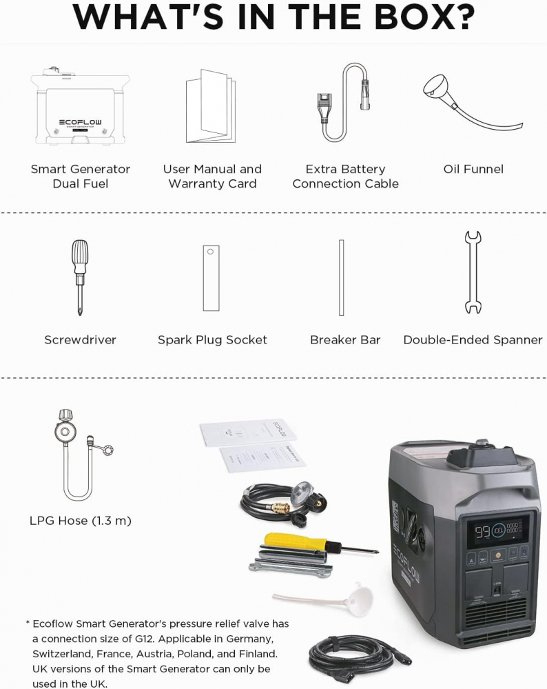 Ecoflow Generator Smart Dual Benzina & Gpl 5400 Wh 1800W [14]