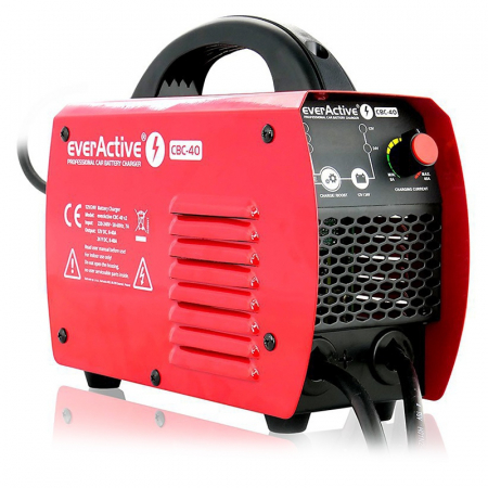 Incarcator Acumulatori 12V / 24V 60A / 300A Everactive [2]