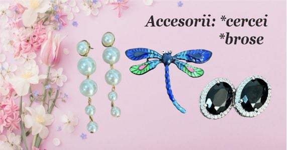 Accesorii