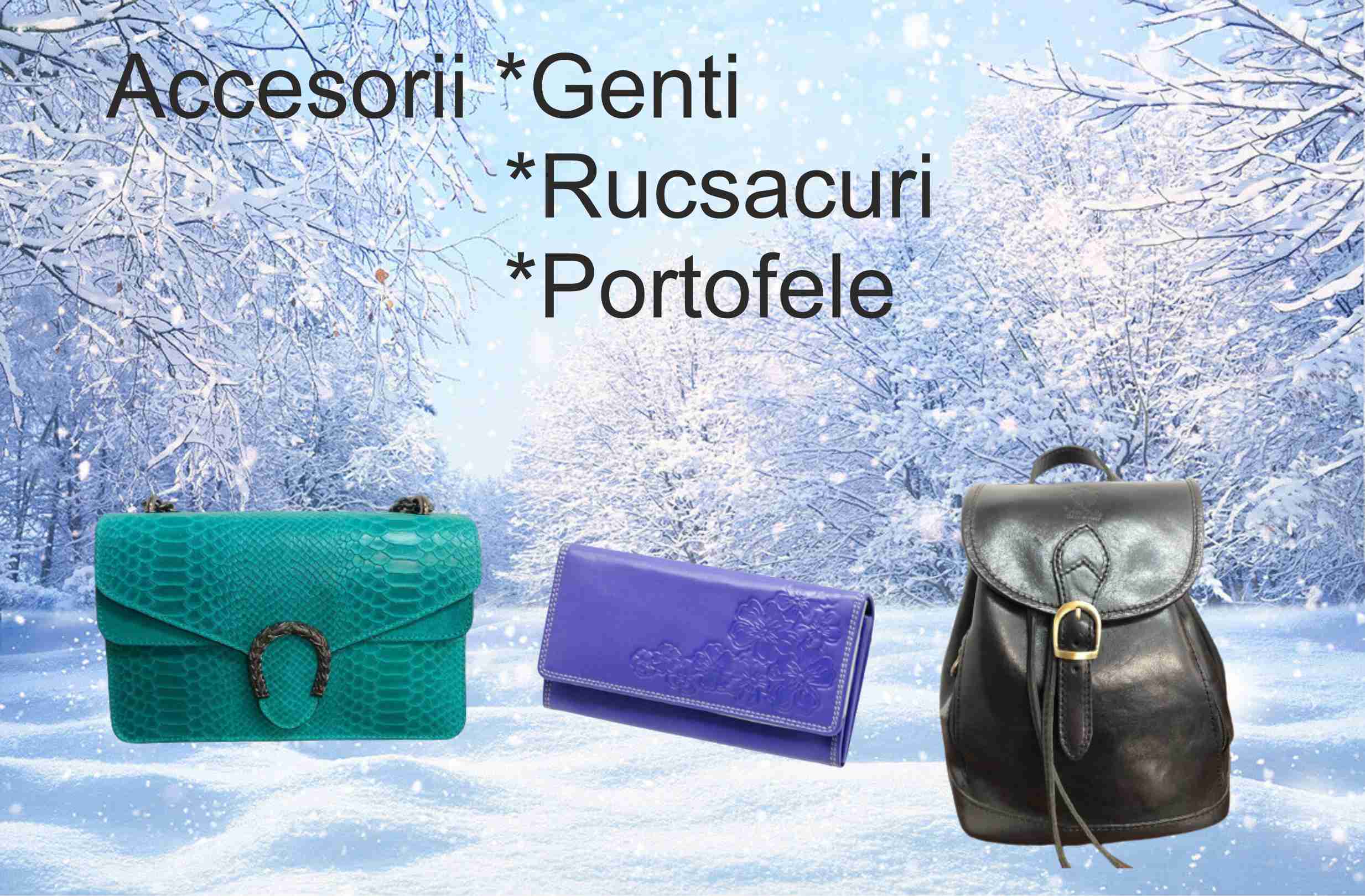 Accesorii genti