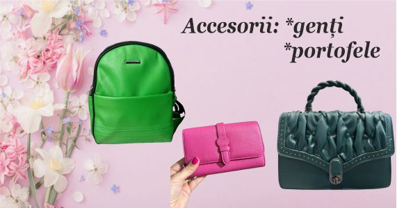 Accesorii genti