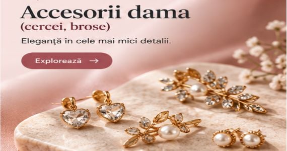 Accesorii