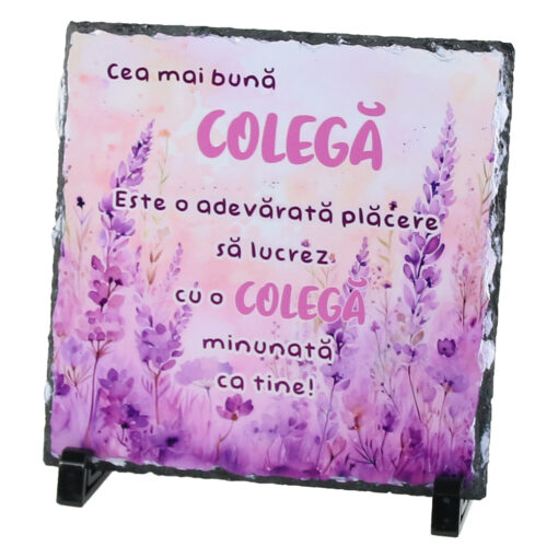 Placa ardezie „Cea mai buna Colega” [1]