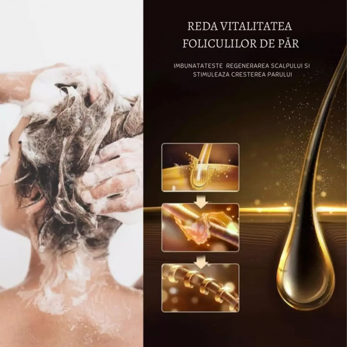 Balsam Premium Karseell cu Ulei de Argan si Extracte Botanice, cu esenta de maca, ideal pentru par uscat si deteriorat, hidratare intensa, reparare profunda, ingrijire avansata, 500ml [7]
