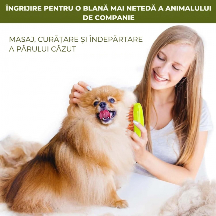 Perie cu aburi 3 in 1 pentru animale de companie – Giftry®, Curatare delicata, masaj relaxant, reincarcare USB, potrivita pentru pisici si caini, Verde [7]