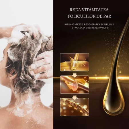 Balsam Premium Karseell cu Ulei de Argan si Extracte Botanice, cu esenta de maca, ideal pentru par uscat si deteriorat, hidratare intensa, reparare profunda, ingrijire avansata, 500ml [6]