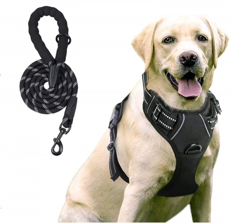 Accesorii animale companie - Set Ham si Lesa pentru Caini, Giftry®, vesta captusita, Maner Moale si confortabil, Design reflectorizant,  lungime 1.5 M, Prindere Metalica, Rezistenta, marime M, Negru