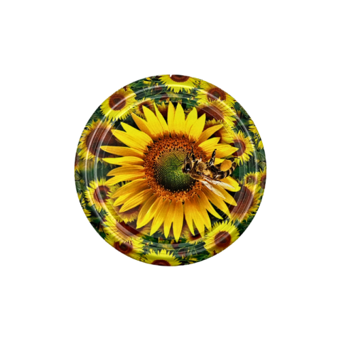 Capace - Capac 82 mm model albina 6