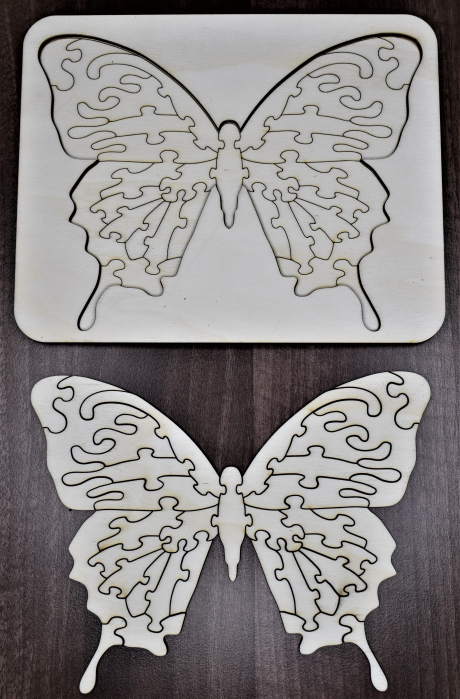 Puzzle fluture [2]