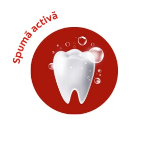 categori 333 - produs nou 10.11.2025 standard cu valori adaugate