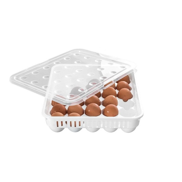 cutie plastic pentru oua