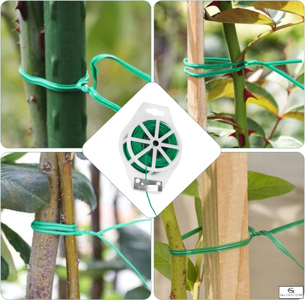 fir de legat plante