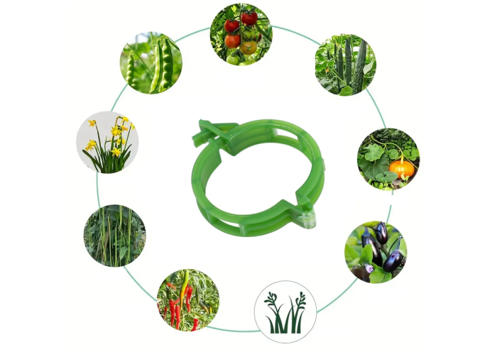 clips-palisare-reutilizabile-legume-pomi-flori-diametru-3cm [17]