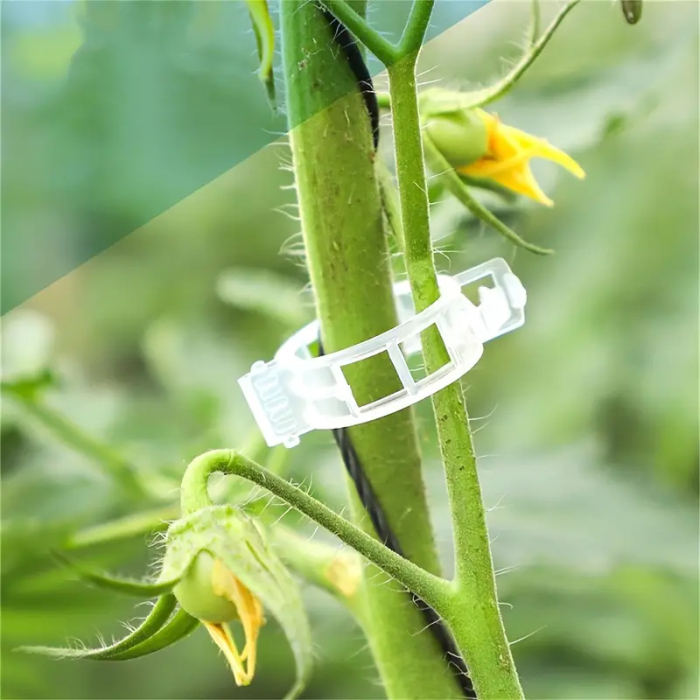 clips-palisare-reutilizabile-legume-pomi-flori-diametru-3cm [7]