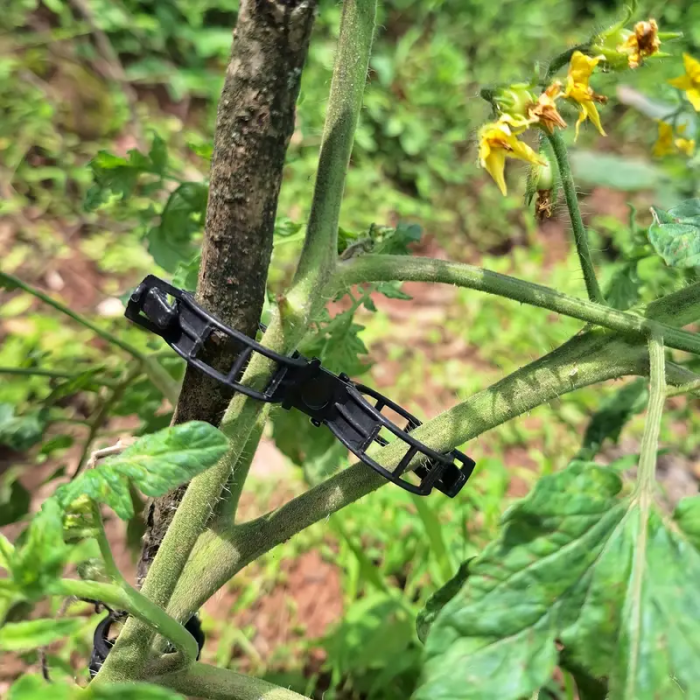clips-palisare-reutilizabile-legume-pomi-flori-diametru-3cm [22]