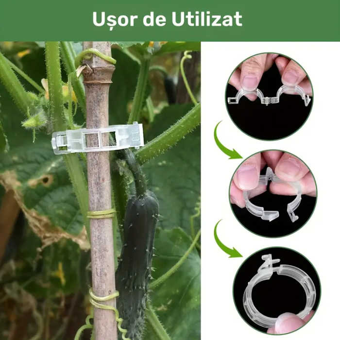 clips-palisare-reutilizabile-legume-pomi-flori-diametru-3cm [5]