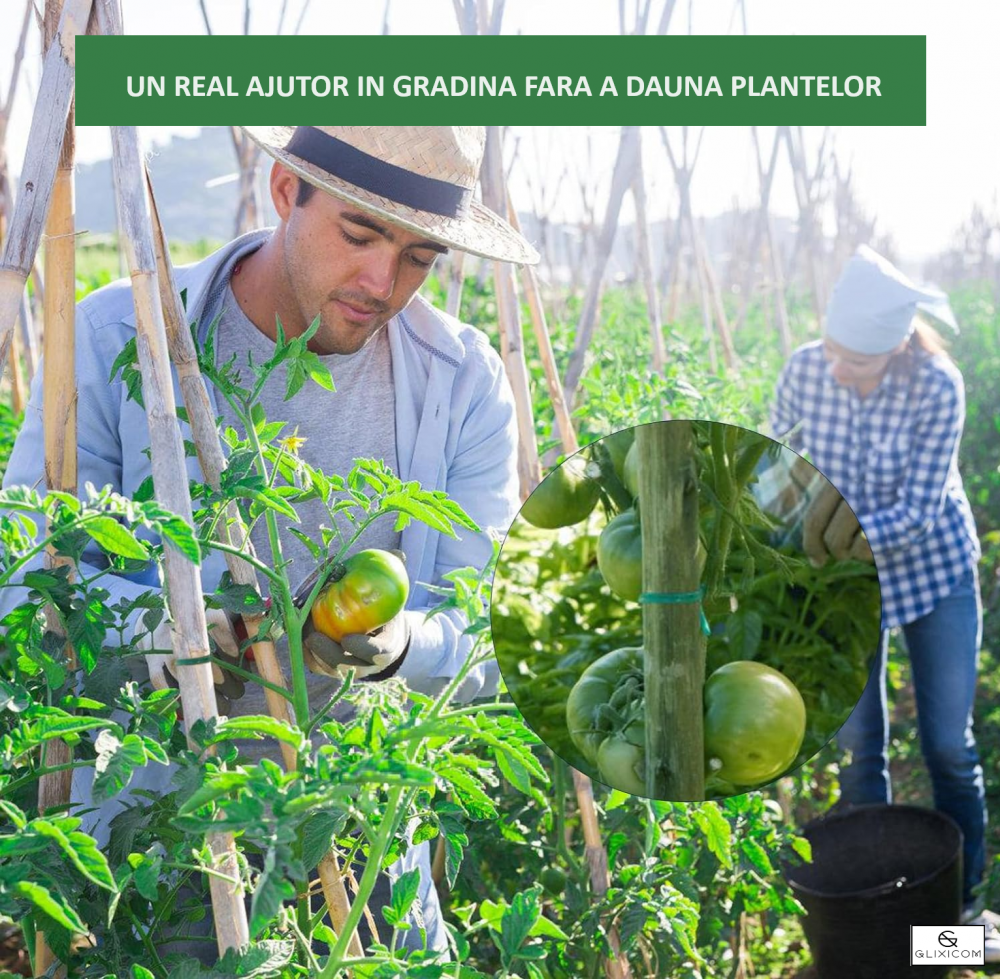 Fir de legat la vie fir de legat plante legume dedeman Ata de legat via dedeman emag hornbach leroy brico  Role pentru aparat de legat via dedeman [6]