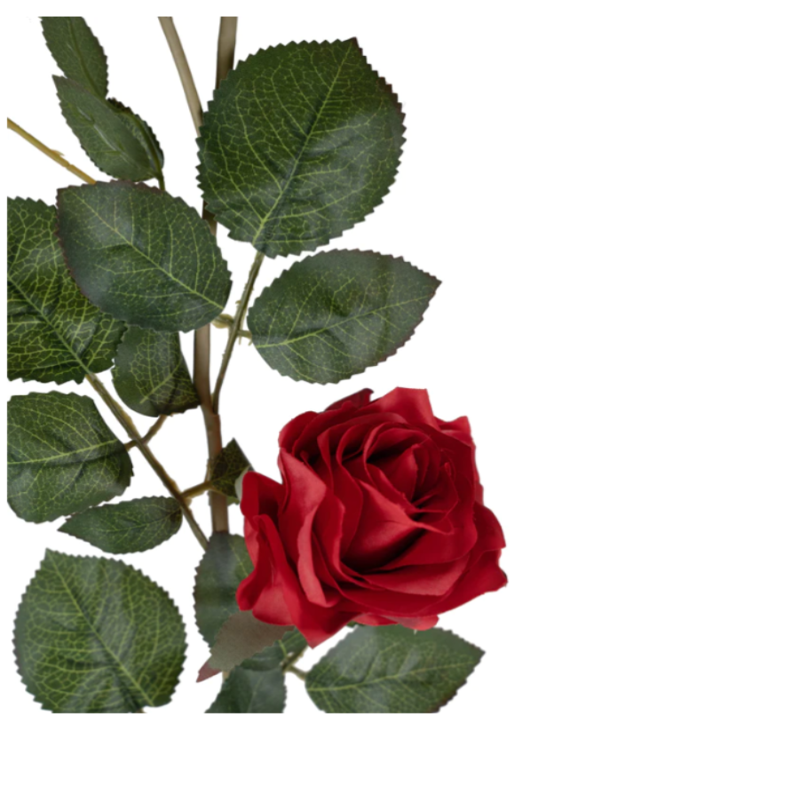 Ghirlande flori artificiale dedeman ghrilanda trandafiri rosii ajumbo dedeman lidl kaufland ghirlanda trandafiri rosii decoratiune ieftina nunta botez aniversare Ghirlande flori artificiale ieftine Ghirlande flori artificiale emag Ghirlande flori artificiale glixicom 170 cm [4]