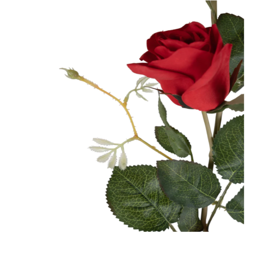 Ghirlande flori artificiale dedeman ghrilanda trandafiri rosii ajumbo dedeman lidl kaufland ghirlanda trandafiri rosii decoratiune ieftina nunta botez aniversare Ghirlande flori artificiale ieftine Ghirlande flori artificiale emag Ghirlande flori artificiale glixicom 170 cm [3]