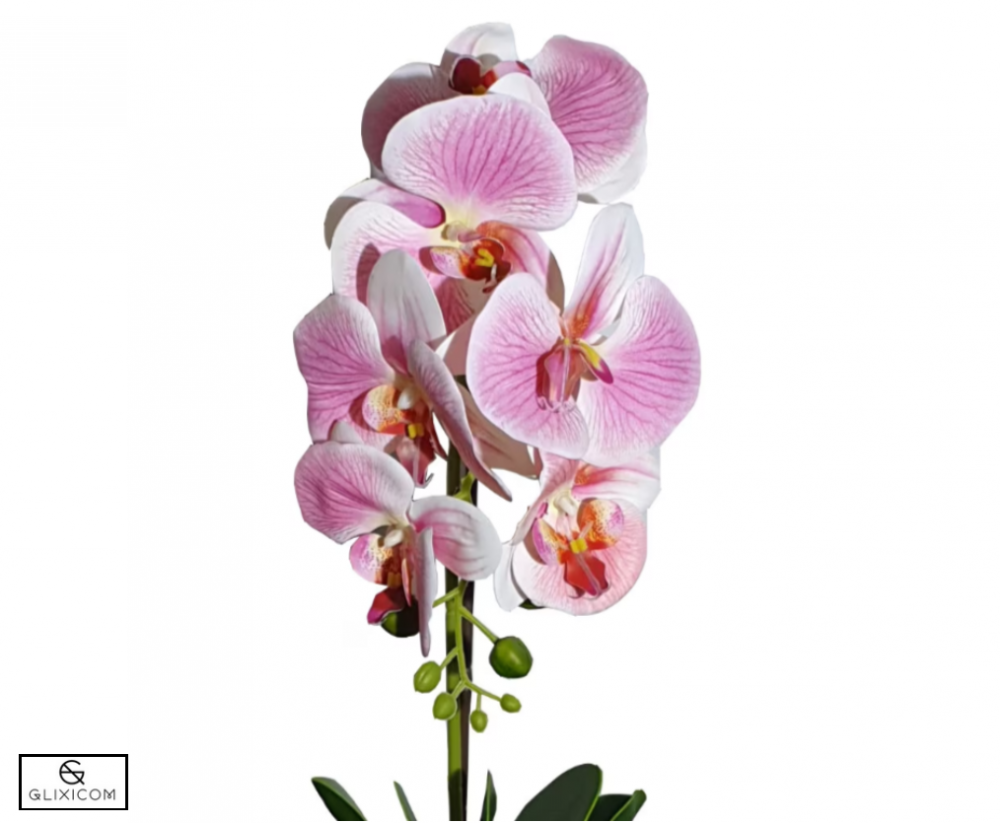 Orhidee din silicon la ghiveci ceramic glixicom Orhidee plastic dedeman Flori artificiale mari leroy brico jysk ikea orhidee artificiala ieftina [3]