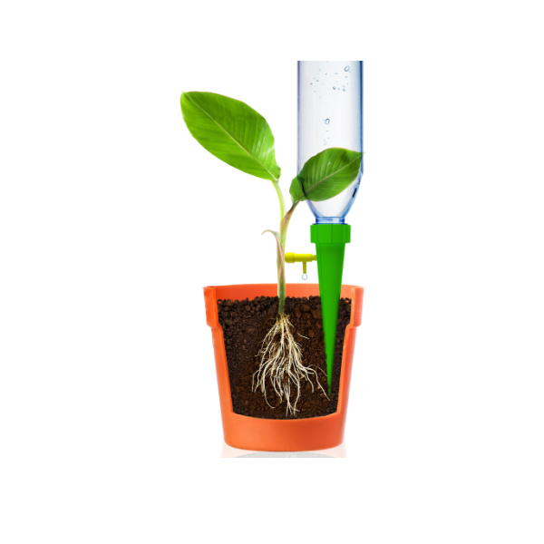 picuratorifloriplanteghivecidedemanpicuratorifloriplanteghiveciemagpicuratorifloriplanteghivecileroypicuratorifloriplanteghivecibricopicuratorifloriplanteghivecihornbach [6]
