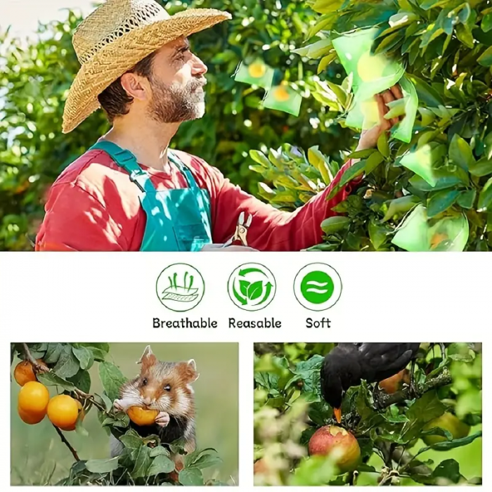 Saci din Plasa pentru  Protectie  Fructe si Legume, Anti-Insecte, Anti-Pasari, Anti-Rozatoare  Reutilizabili  cu Snur plasa protectie fructe si legume dedeman plasa protectie fructe insecte si pasari brico [6]