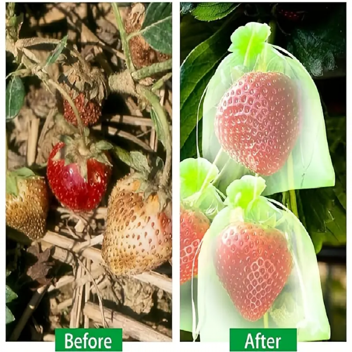 Saci din Plasa pentru  Protectie  Fructe si Legume, Anti-Insecte, Anti-Pasari, Anti-Rozatoare  Reutilizabili  cu Snur plasa protectie fructe si legume dedeman plasa protectie fructe insecte si pasari brico [3]