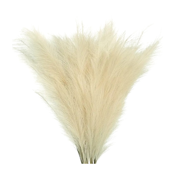 Iarba de pampas decorativa iarba de pampas dedeman artficiala din matase iarba artificiala decorativa emag plante/flori decorative ornamentale, ornament interior, frunze decor pentru botez nunta dedeman jysk leroy [10]