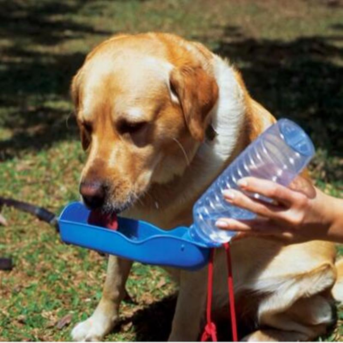 Sticla Apa Animale cu Castron pentru Adapare - Portabila Capacitate 500 ml Albastru [5]