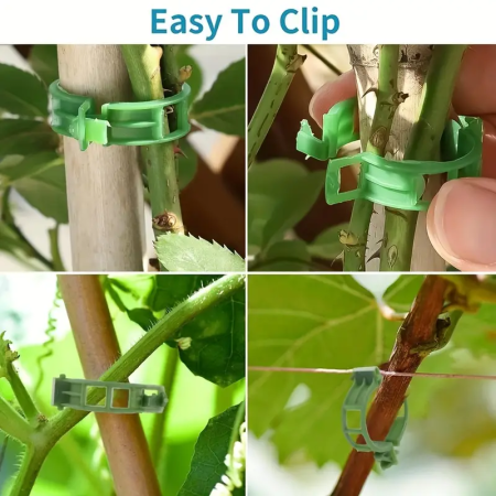 clips-palisare-reutilizabile-legume-pomi-flori-diametru-3cm [13]