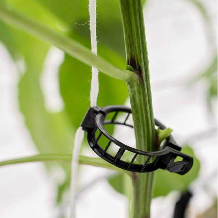 clips-palisare-reutilizabile-legume-pomi-flori-diametru-3cm [23]