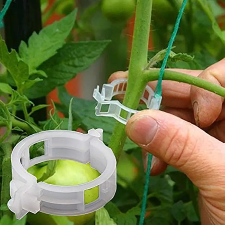 Toate Produsele - clips-palisare-reutilizabile-legume-pomi-flori-diametru-3cm
