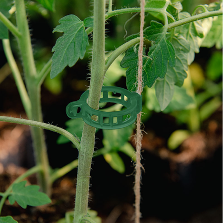 clips-palisare-reutilizabile-legume-pomi-flori-diametru-3cm [24]