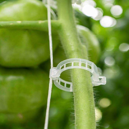 clips-palisare-reutilizabile-legume-pomi-flori-diametru-3cm [9]