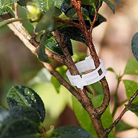 clips-palisare-reutilizabile-legume-pomi-flori-diametru-3cm [1]