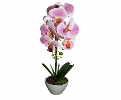 Toate Produsele - Orhidee din silicon la ghiveci ceramic glixicom Orhidee plastic dedeman Flori artificiale mari leroy brico jysk ikea orhidee artificiala ieftina