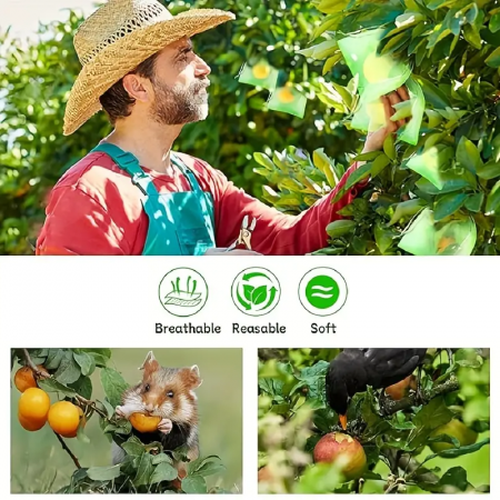 Saci din Plasa pentru  Protectie  Fructe si Legume, Anti-Insecte, Anti-Pasari, Anti-Rozatoare  Reutilizabili  cu Snur plasa protectie fructe si legume dedeman plasa protectie fructe insecte si pasari brico [5]