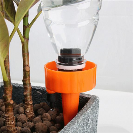 picuratorifloriplanteghivecidedemanpicuratorifloriplanteghiveciemagpicuratorifloriplanteghivecileroypicuratorifloriplanteghivecibricopicuratorifloriplanteghivecihornbach [1]