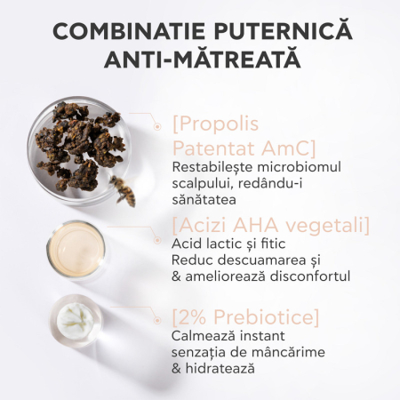 Loțiune Calmantă Anti-Matreață 100 ml, Apivita [4]
