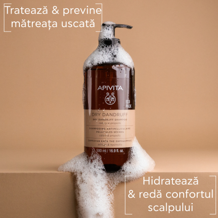 Anti-matreata (dermatita seboreica/matreata) - Sampon anti-matreata uscata, 500 ml, Apivita