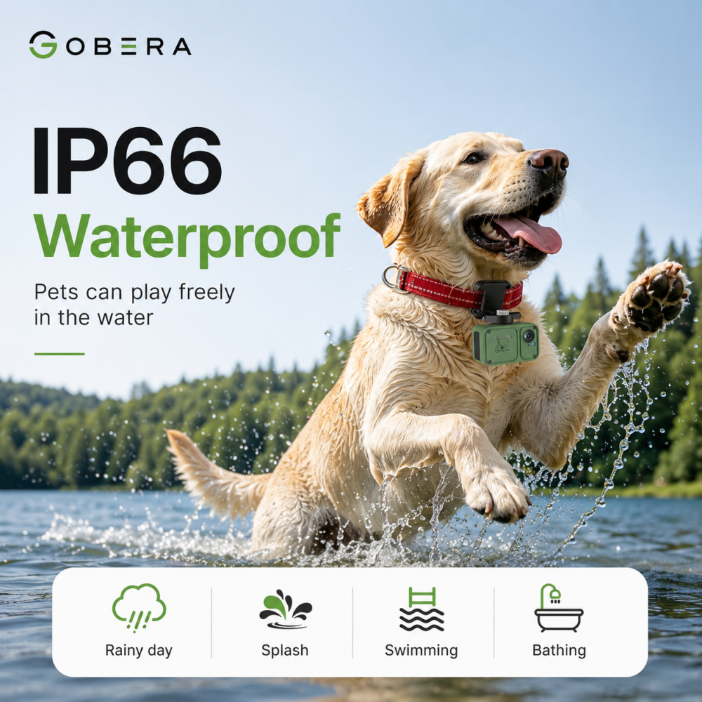 Tracker GPS 4G cu Cameră goBERA® pentru Câini și Animale, Full HD, Localizare în Timp Real, Geo-Fence, Audio Bidirecțional, IP66, Nano SIM [3]