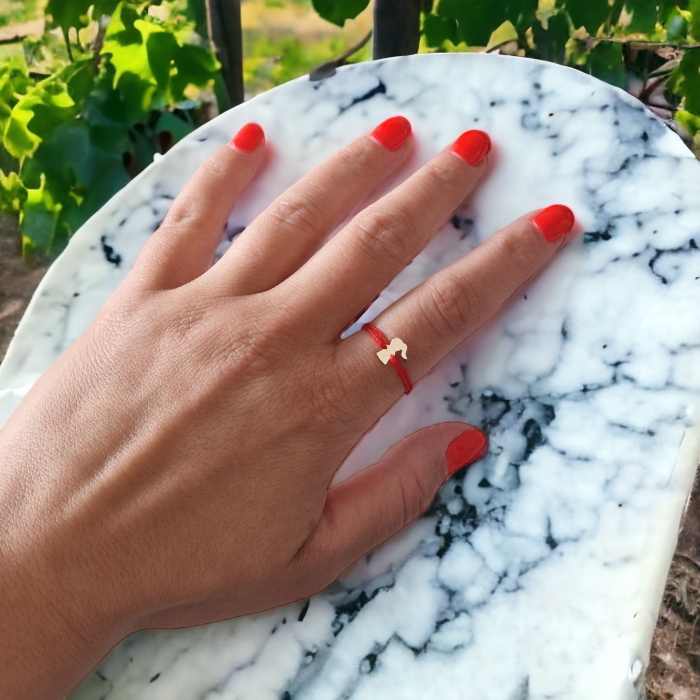 Inel cu  snur , fetita,aur 14k [4]