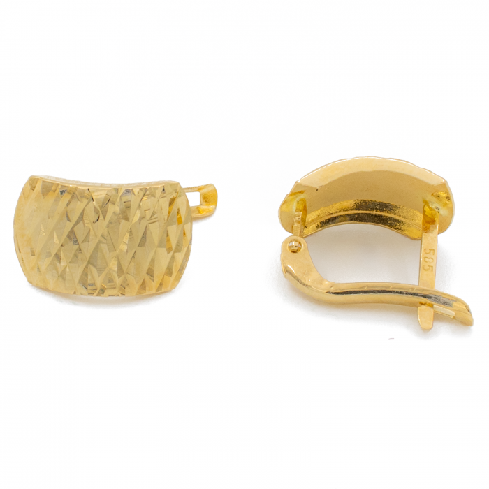 Cercei cu Model Aur 14k [2]