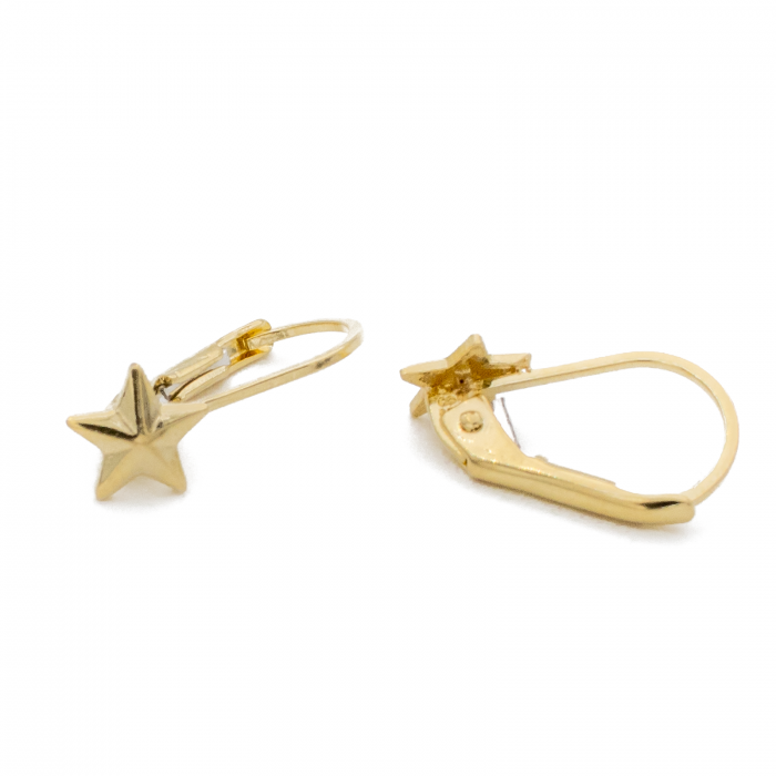Cercei Stea Aur 14k [3]
