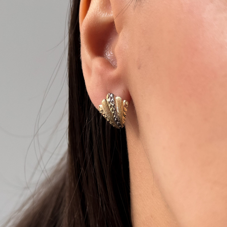 Cercei Aur 14k [1]