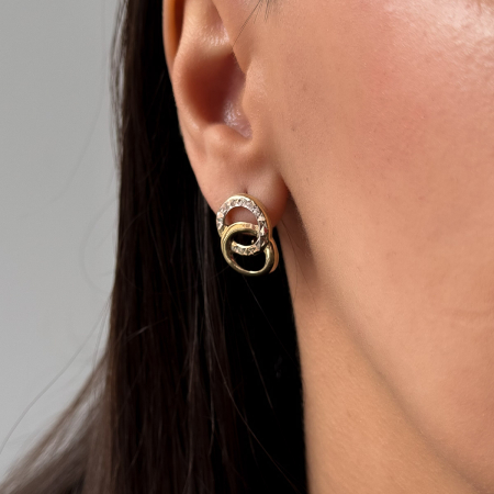 Cercei Cerculete Aur 14k [1]