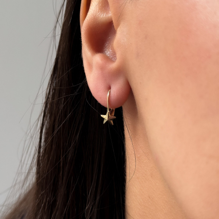 Cercei Stea Aur 14k [1]