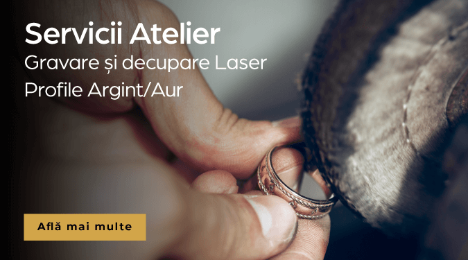 Servicii Atelier