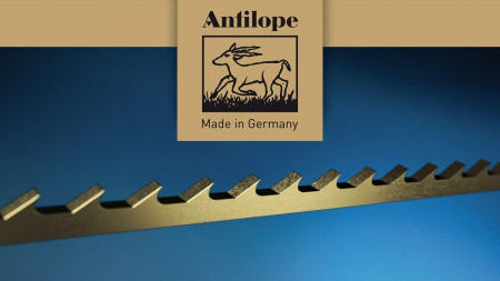 Panze traforaj Antilope [1]
